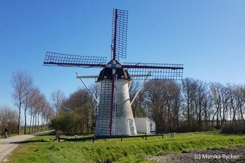niederländische Mühle